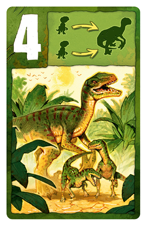 Raptor card