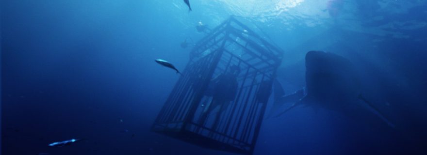 47 Meters Down