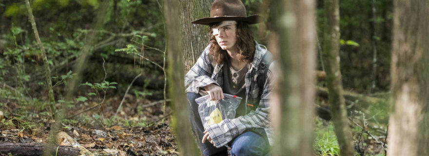 The Walking Dead 8.06