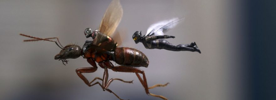 Ant-Man and the Wasp