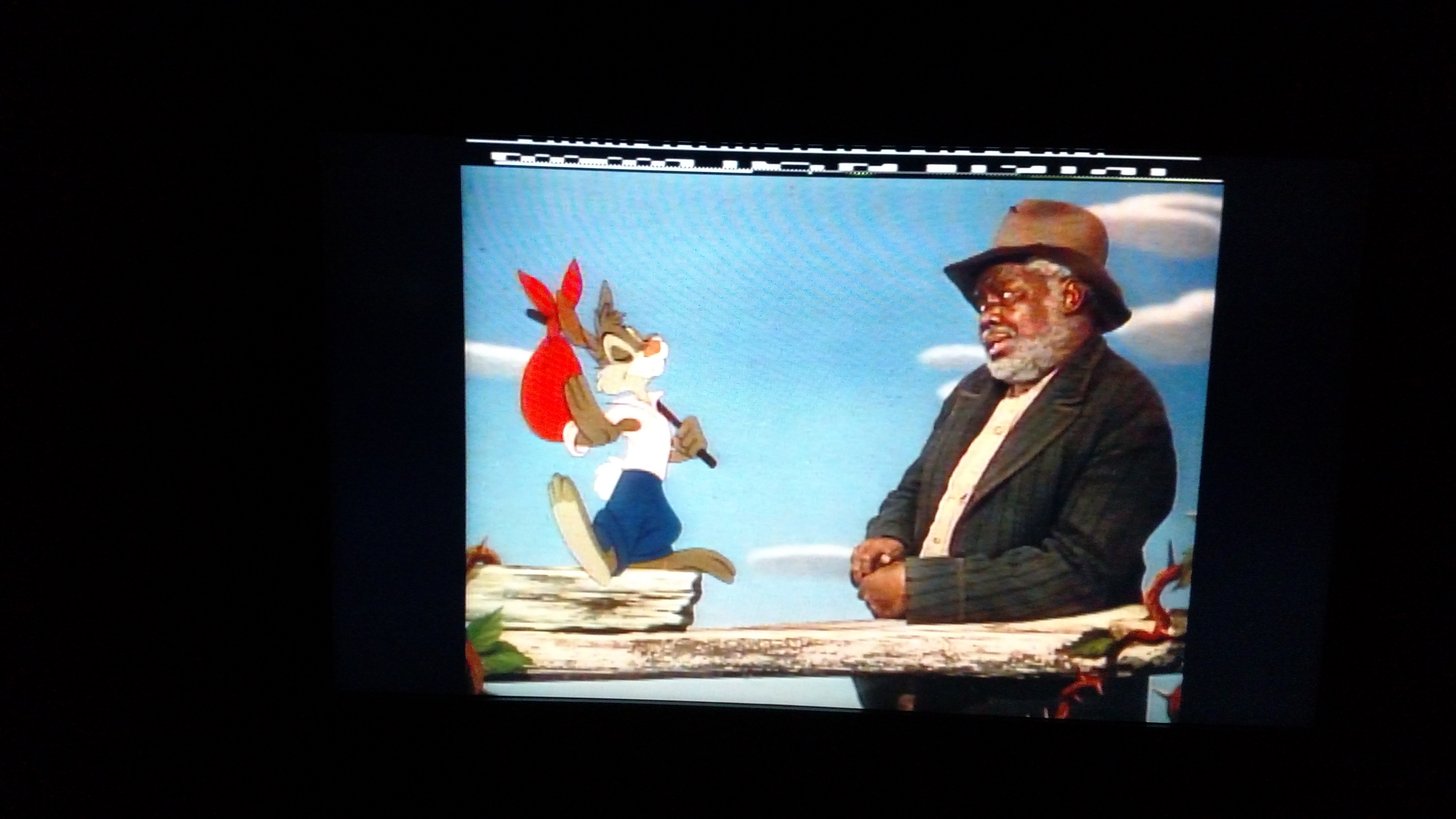 Disney's Song of the South on Laserdisc