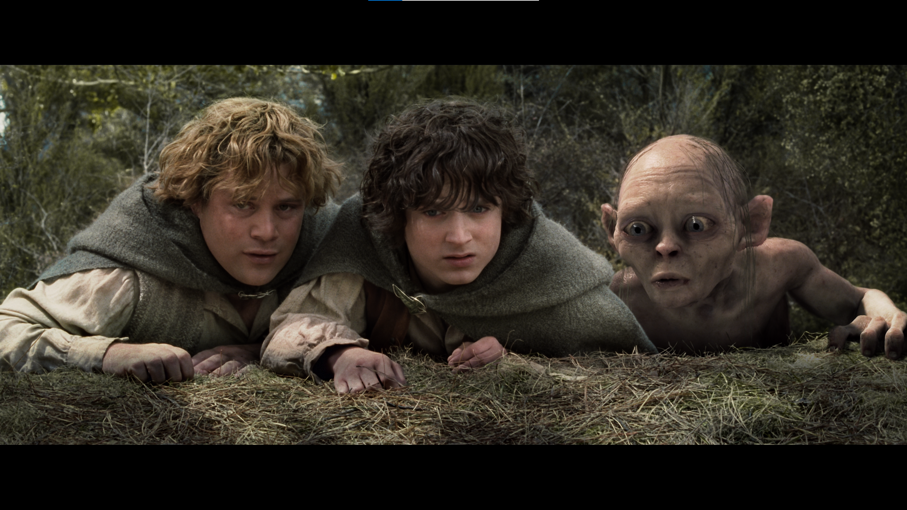 Властелин колец последняя версия. Властелин колец Фродо и сем.
